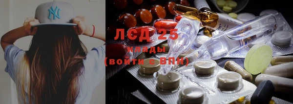 индика Абинск