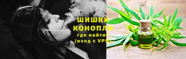 индика Абаза
