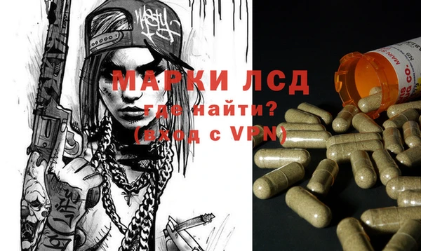 индика Абаза