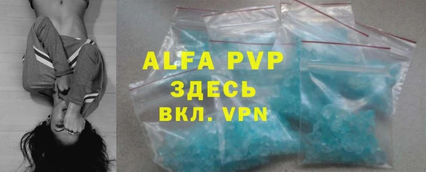 индика Абаза