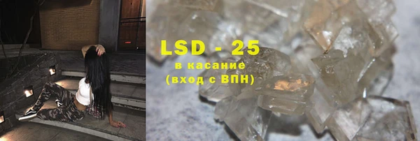 индика Абаза