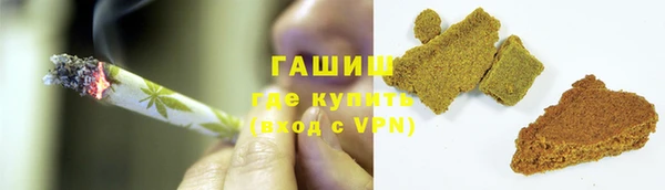 индика Абаза