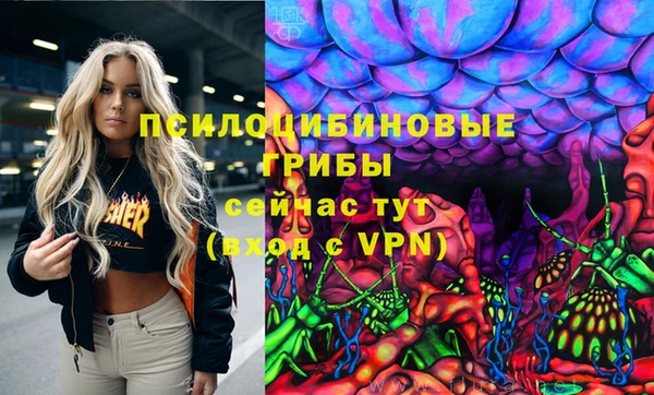 индика Абаза