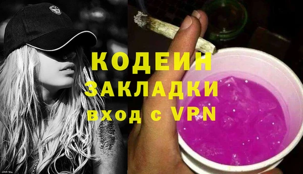 индика Абаза