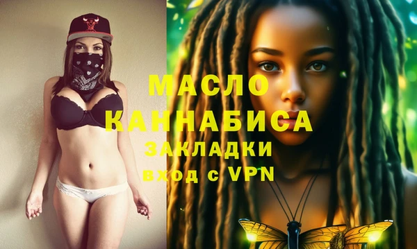 индика Абинск