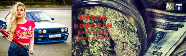 индика Абаза