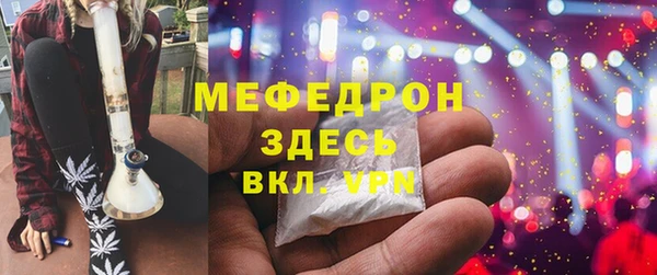 индика Абаза
