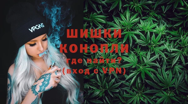 индика Абаза