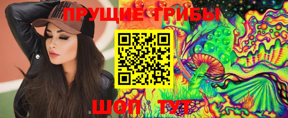 Галлюциногенные грибы MAGIC MUSHROOMS  Вход с VPN  купить наркотики цена  Вичуга 